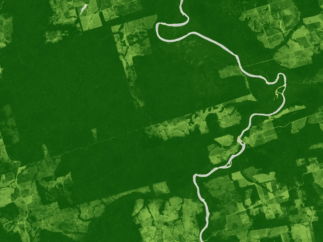 Vegetation index over the same area of forest in 2016, before clearing