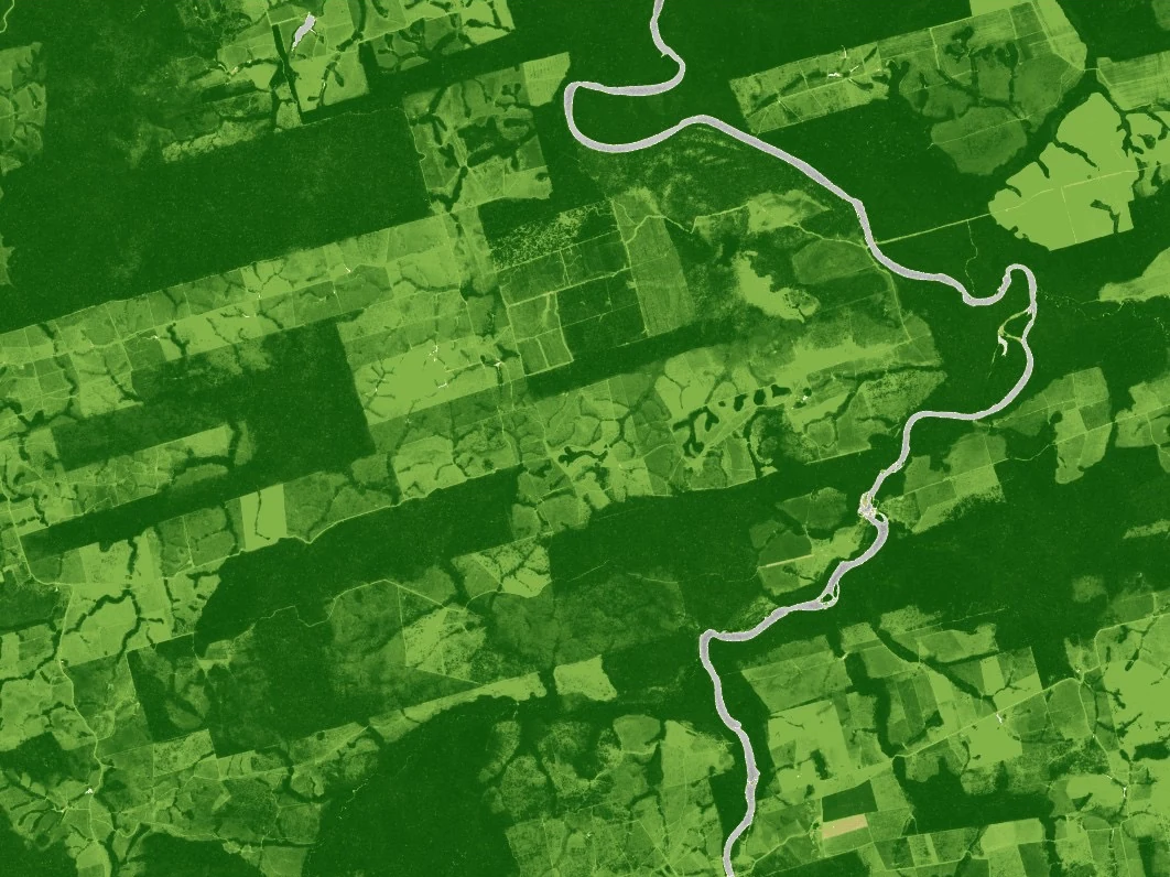 The same area in 2026, cleared into fields